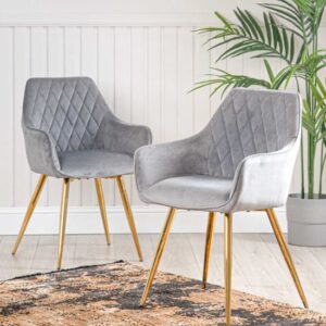 Quincy Grey Velvet Dining Chairs With Gold Legs In Pair